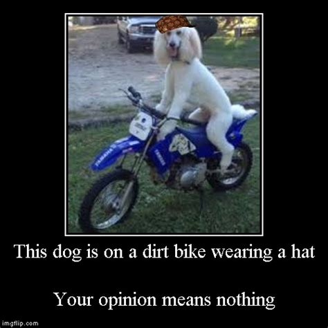 This dog is on a dirt bike wearing a hat - Imgflip