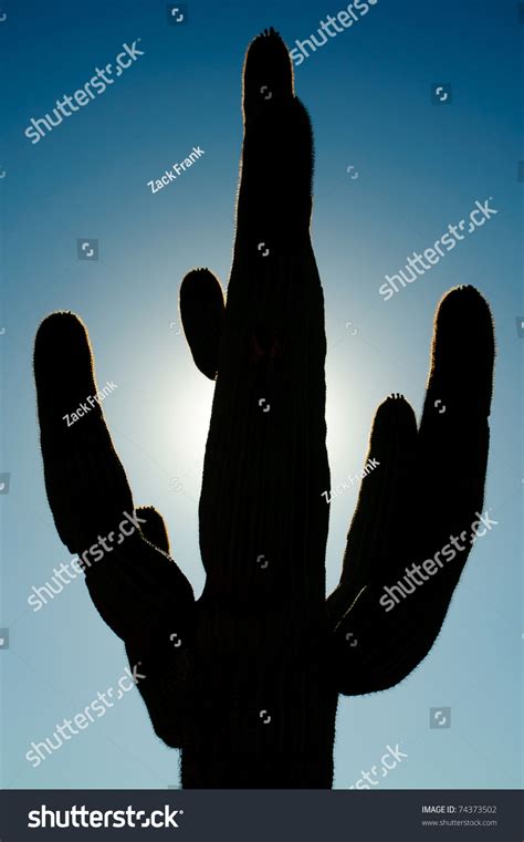 Silhouette Of A Saguaro Cactus Stock Photo 74373502 : Shutterstock