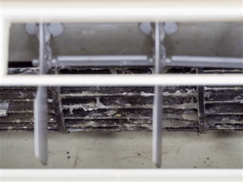 How Your AC Unit Can Help Prevent Mold Growth | Mason AC