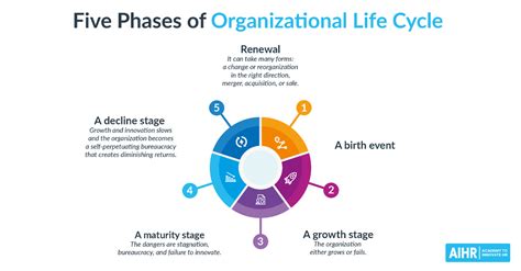 Organizational Life Cycle: Definition, Models, and Stages - AIHR