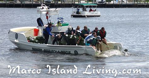 FWC Manatee Rescue Port of the Islands Naples FL | Marco Island Living