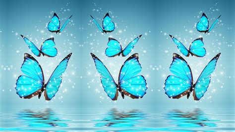 28 Blue Butterfly HD Wallpapers - Wallpaperboat