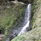 Makamakaole Falls - Maui, Hawaii | AllTrails