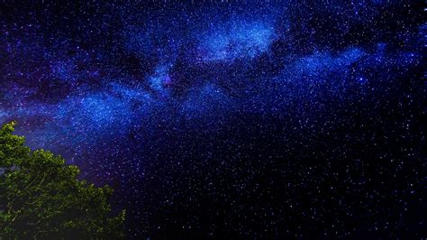 WALLPAPERS HD: Tree Branches Starry Sky Stars Night