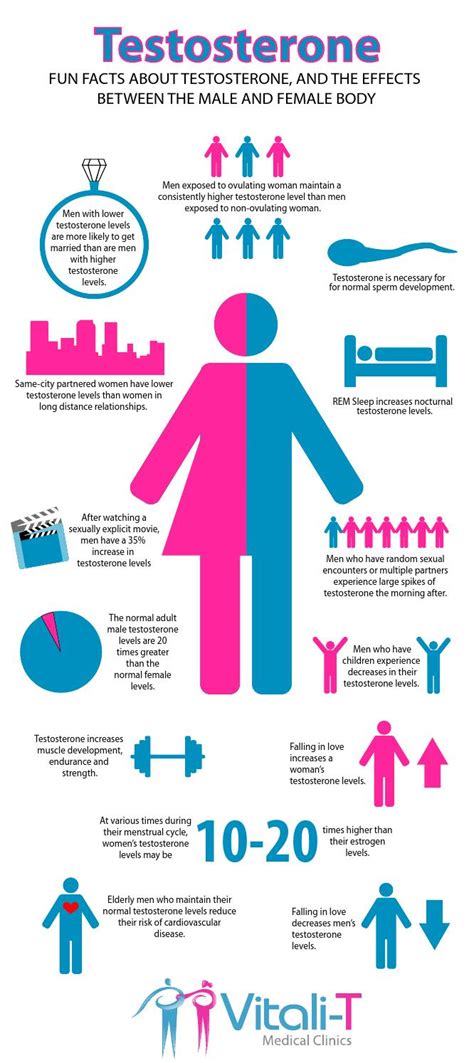 Testosterone Infographic by Denver Hormone Experts - Issuu