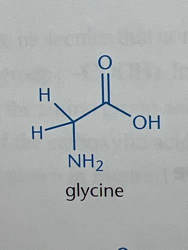 20 Amino Acids (MCAT) Flashcards | Quizlet