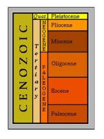 Cenozoic Period timeline | Timetoast timelines