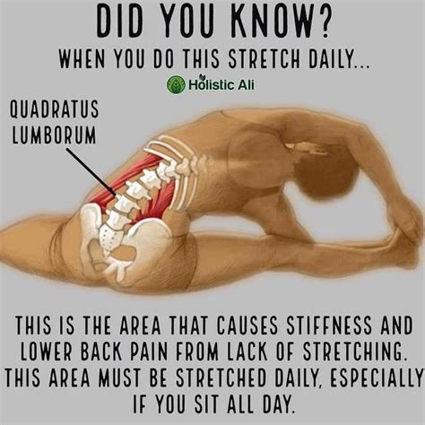 quadratus lumborum stretch - Google Search | Health and fitness ...