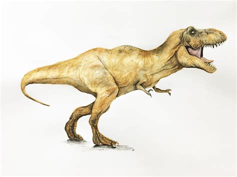 an artist's rendering of a dinosaur with its mouth open