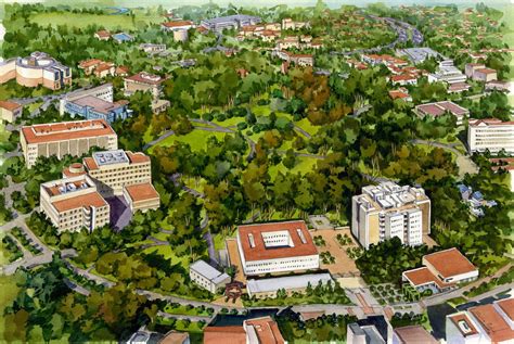 University of California Irvine Map Illustration - by Rabinky Art, LLC