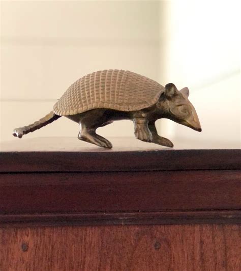 Brass Armadillo Gold Armadillo Southwest Decor Armadillo | Etsy