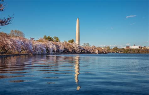 Design Lessons from the Washington Monument | Eco design, Washington ...