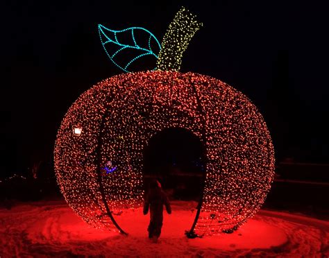 Holiday Recap: Winter Lights 2022 at the Minnesota Arboretum