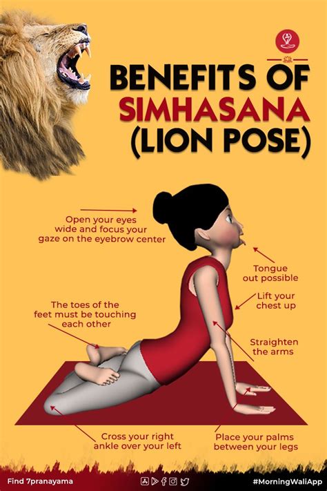 Simhasana | Lion Pose | Steps | Benefits | Precautions | Yoga facts, Learn yoga poses, Easy yoga ...