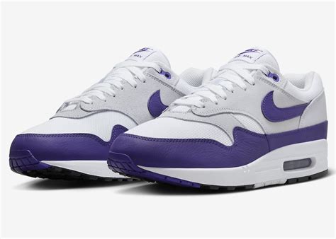 Nike Air Max 1 Field Purple DZ4549-101