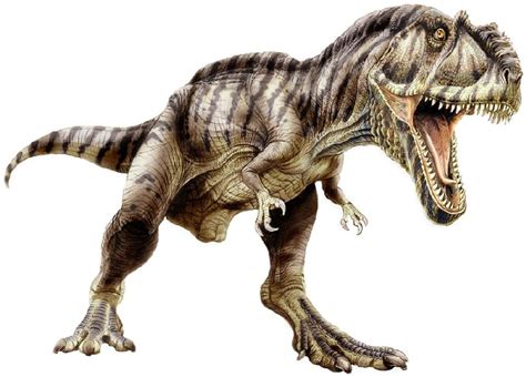 Giganotosaurus Pictures & Facts - The Dinosaur Database