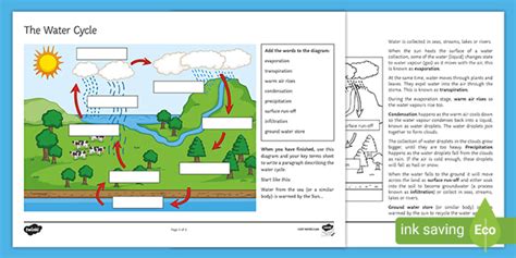Water Cycle Worksheet - Grades 4-6 - Teaching Resource