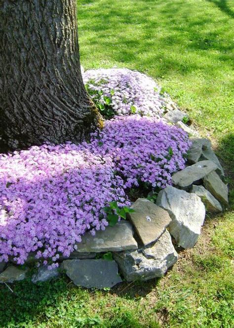 25+ Best Lawn-Edging Ideas and Designs for 2021