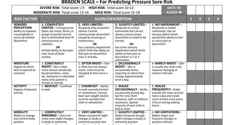 Braden Scale Form ≡ Fill Out Printable PDF Forms Online