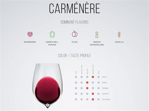 Your Guide to The Unique Carménère Wine | Wine Folly