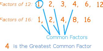 Factoring Polynomials - Mind Map