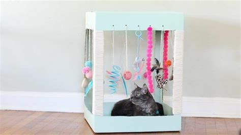 Katzenspielzeug selber machen: fantastische Ideen für Katzenliebhaber Homemade Cat Toys, Diy Cat ...