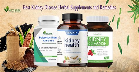 10 Best Kidney Disease Herbal Supplements and Remedies