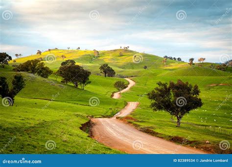 Australia stock photo. Image of farm, autumn, road, country - 82389534