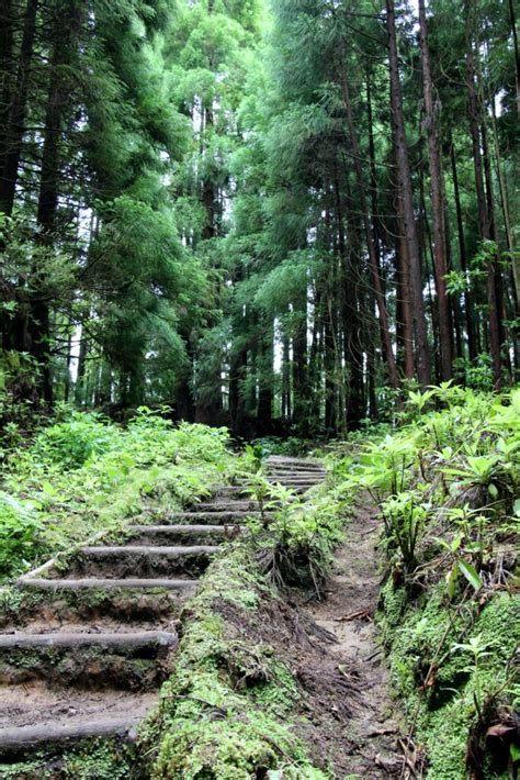 Best Hiking in Portugal: The 10 Most Spectacular Trails