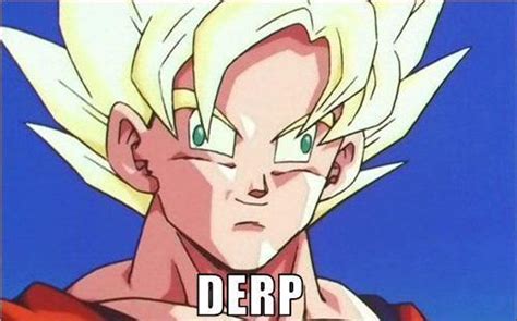 [Image - 302882] | Derp | Know Your Meme