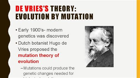 CHAPTER 8 BHISTORY OF EVOLUTIONARY THEORY EVOLUTION What