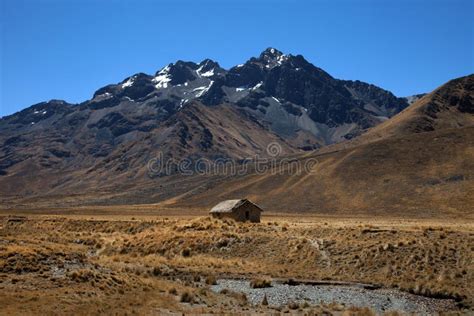 Vulcano Nel Parco Nazionale Di Sajama, Le Ande, Bolivia Immagine Stock - Immagine di cile ...