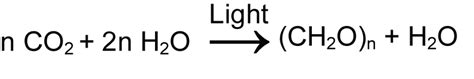 biochemistry - Photosynthesis: What Powers the Splitting of Water ...