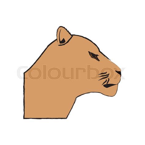 Female Lion Vector at Vectorified.com | Collection of Female Lion Vector free for personal use