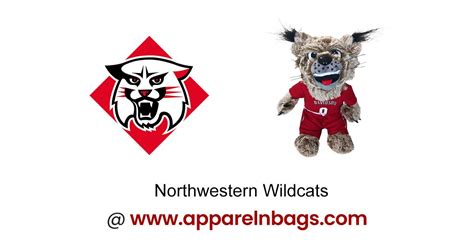 Northwestern Wildcats Color Codes - Color Codes in Hex, Rgb, Cmyk, Pantone