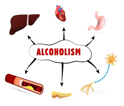 Alcohol and Health, Effects of Alcohol of the Body | AToN Center