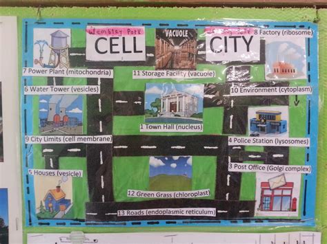 Animal Cell City Analogy Examples / Cell City Drawing at GetDrawings ...