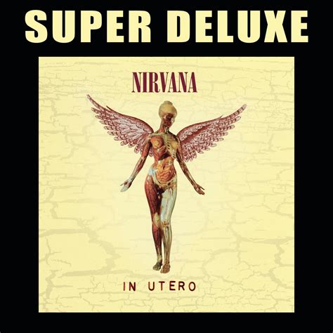 ‎In Utero (20th Anniversary Super Deluxe Edition) by Nirvana on Apple Music