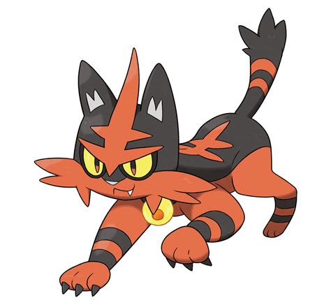 Torracat - WikiDex, la enciclopedia Pokémon