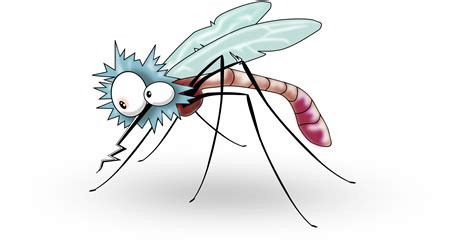 Clipart - Funny Mosquito from side