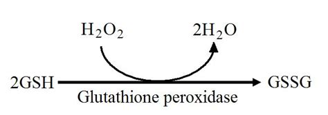 Selenium: Depletion and Repletion