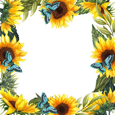 510+ Clip Art Of Yellow Sunflowers Border Stock Illustrations, Royalty ...