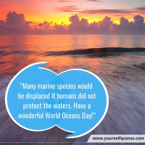 World Ocean Day Quotes, Wishes, Messages To Acknowledge Importance of ...