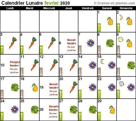 Calendrier lunaire fevrier 2020 | Calendrier lunaire, Planter avec la ...