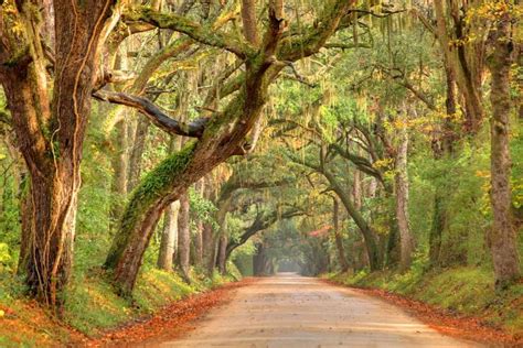 What To Do In Bluffton, SC | We Have The 20 Best Things To Do & See ...