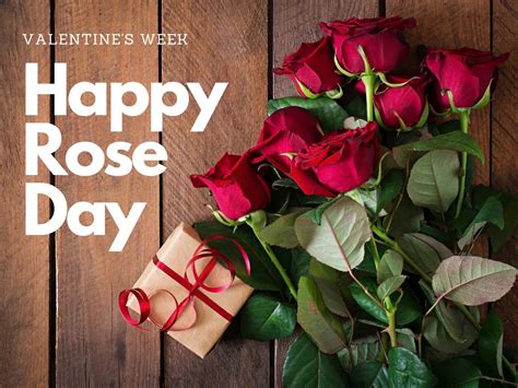 Happy Rose Day Quotes 2023, Shayari & Whatsapp Messages