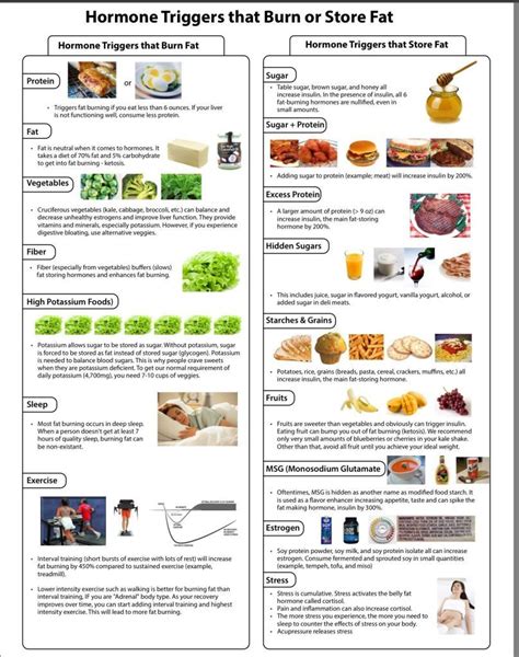 Dr Berg Adrenal Diet Plan Pdf - DIETVC