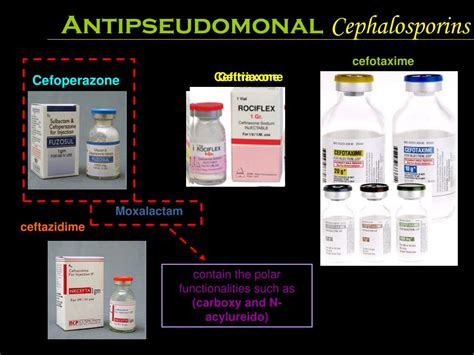 PPT - CEPHALOSPORINS PowerPoint Presentation, free download - ID:4278789