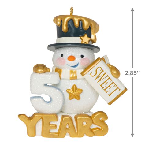 2023 Sweet Decade Special Edition Hallmark Ornament - Hooked on ...