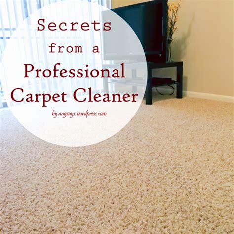 Secrets from a Professional Carpet Cleaner - Angela SaysAngela Says